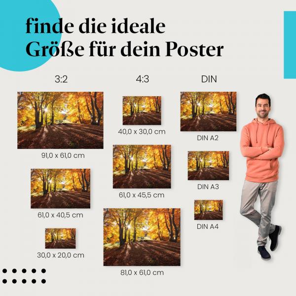 Herbst, Poster: Wald, goldenes Licht, Blätter, Schatten.