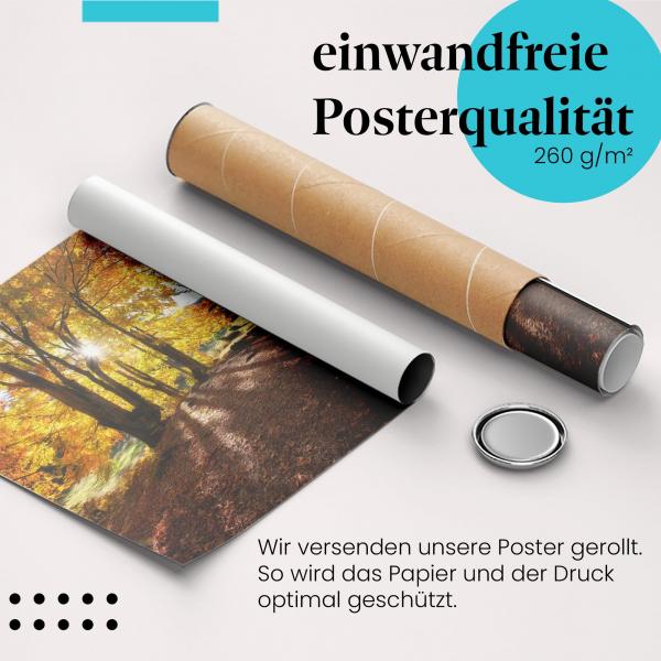 Gerolltes Poster "Herbstwald". Farbenfrohe Natur, sicher verpackt.