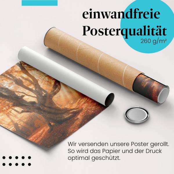 Gerolltes Poster "Mystischer Herbstwald". Herbstliche Magie, sicher verpackt.