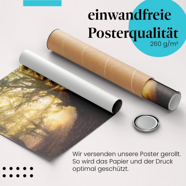 Gerolltes Poster "Herbstwald". Magische Herbststimmung, sicher verpackt.