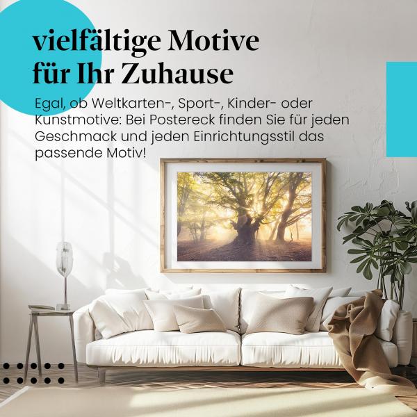 Leinwandbild "Herbstwald": Goldenes Licht und Nebelschwaden - magische Stimmung im Buchenwald.