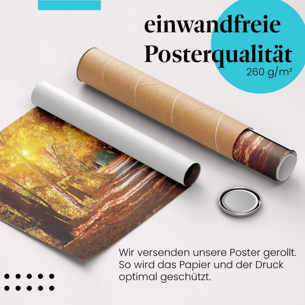 Gerolltes Poster "Herbstspaziergang". Natur & Farbenpracht, sicher verpackt.