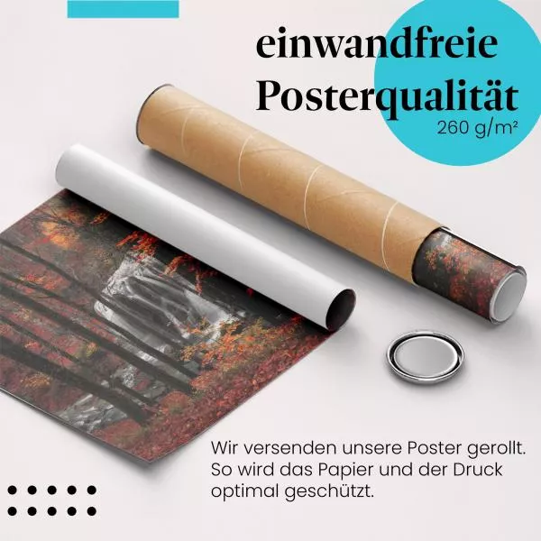 Herbstlicher Wasserfall | Postereck 2563 Herbstlicher Wasserfall | Postereck 2563