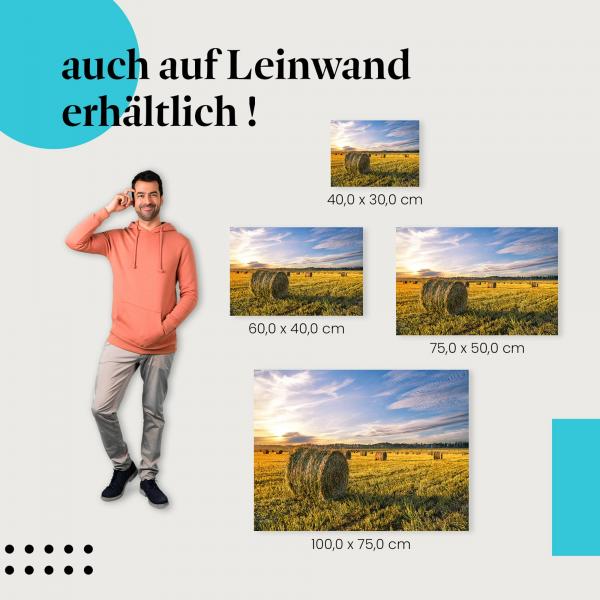 Spätsommer: Leinwandbild. Heurollen, Feld, Abendsonne.