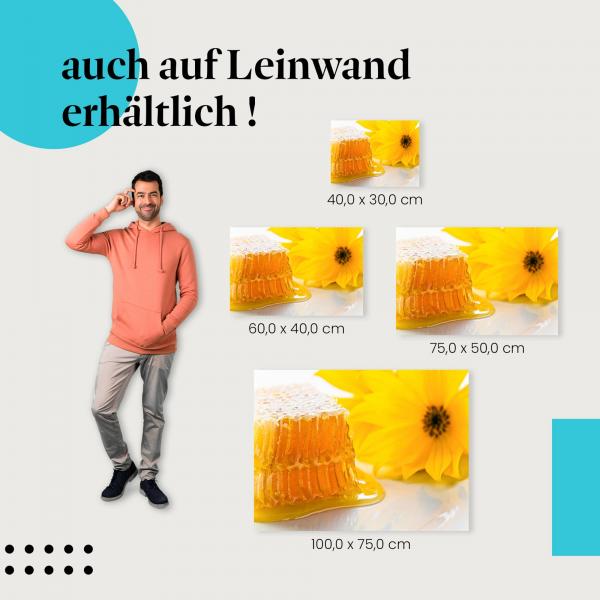 Honigwabe: Leinwandbild. Honig, Blume.