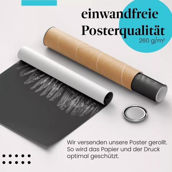 Federschmuck | Postereck 3812 Federschmuck | Postereck 3812