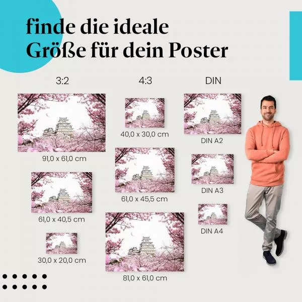 Japanisches Schloss | Postereck 3318