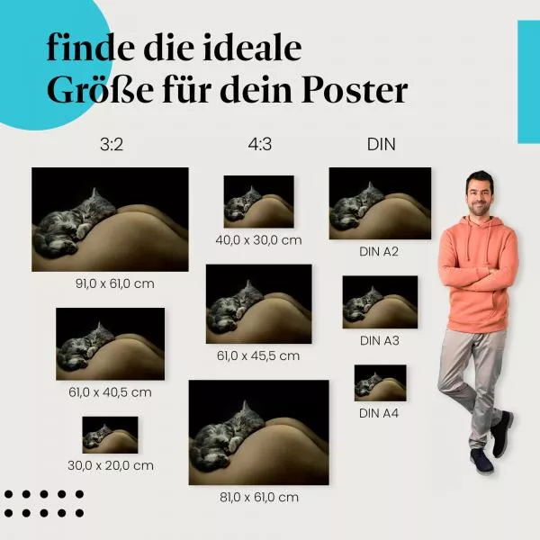 Schlafendes Kätzchen | Postereck 3085 Schlafendes Kätzchen | Postereck 3085