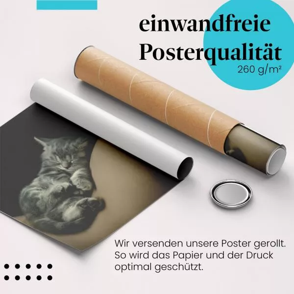 Schlafendes Kätzchen | Postereck 3085 Schlafendes Kätzchen | Postereck 3085