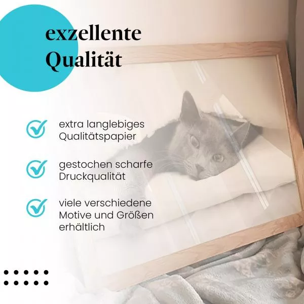 Gemütliche Katze: Im Bett | Postereck 1800 Gemütliche Katze: Im Bett | Postereck 1800