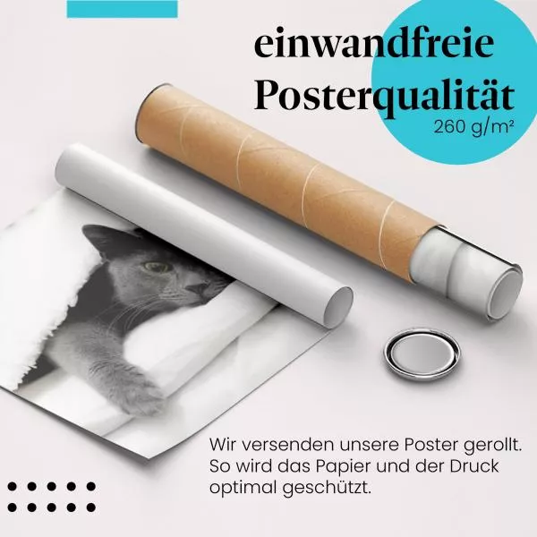 Gemütliche Katze: Im Bett | Postereck 1800 Gemütliche Katze: Im Bett | Postereck 1800