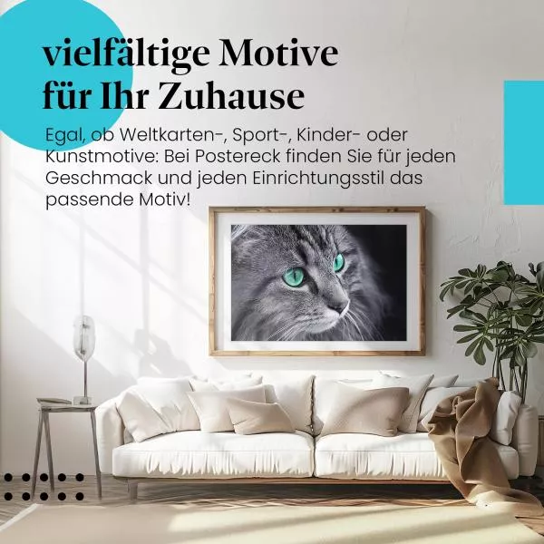 Katzenaugen | Postereck 2177