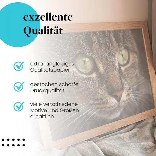Gerahmtes Bild "Katzenportrait" - Detailreiche Aufnahme, intensive Augen.