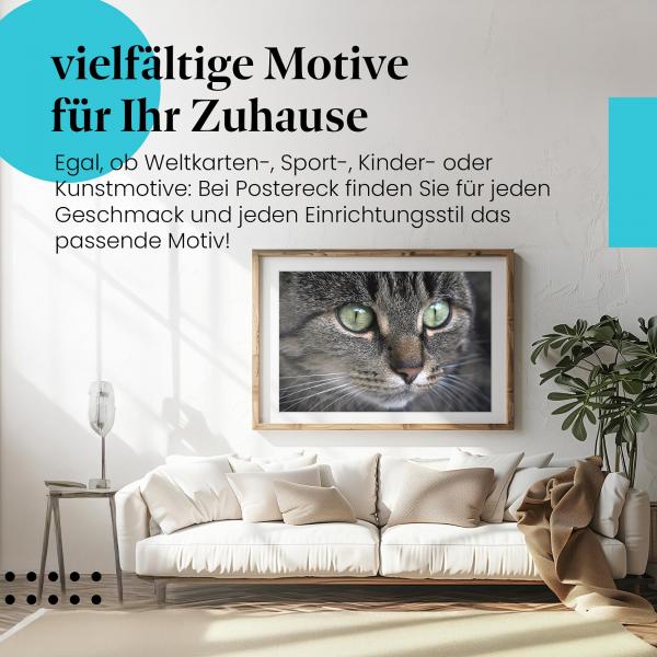 "Katzenblick": Poster "Getigerte Katze" - ausdrucksstark & faszinierend.