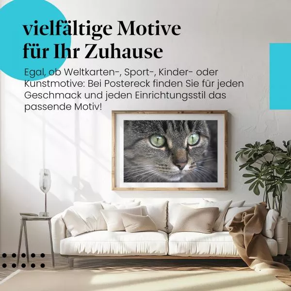 Katzenportrait | Postereck 2358 Katzenportrait | Postereck 2358