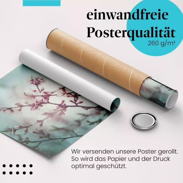 Zarte Kirschblüten: Frühling | Postereck 1369 Zarte Kirschblüten: Frühling | Postereck 1369