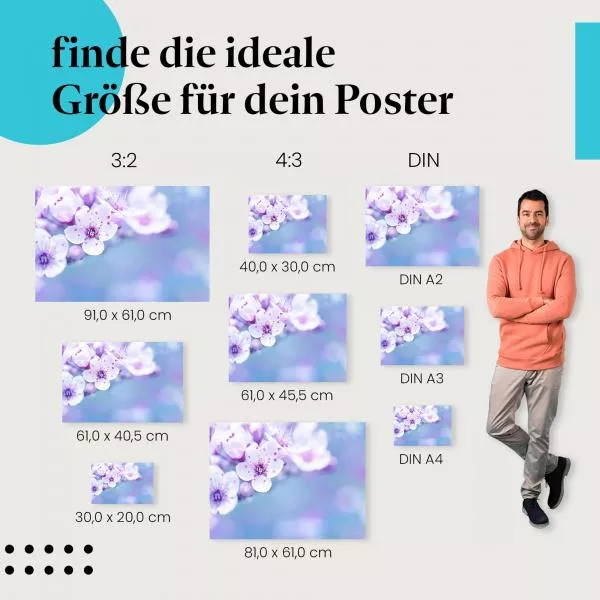 Zarte Kirschblüten: Frühling… | Postereck 1321 Zarte Kirschblüten: Frühling… | Postereck 1321