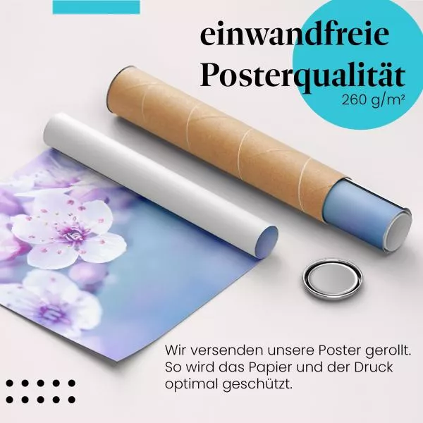 Zarte Kirschblüten: Frühling… | Postereck 1321 Zarte Kirschblüten: Frühling… | Postereck 1321