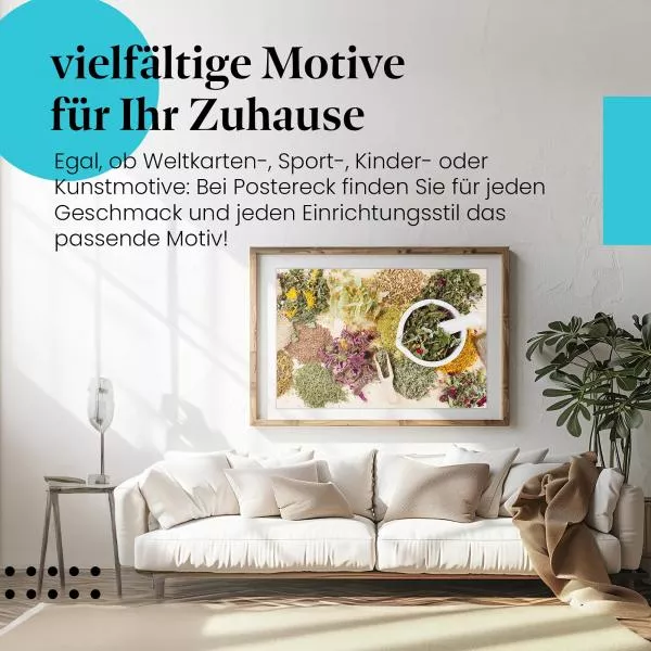 Kräuterwissen: Getrocknete Heilpflanzen | Postereck 1242 Kräuterwissen: Getrocknete Heilpflanzen | Postereck 1242