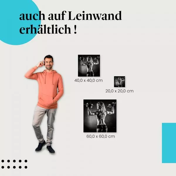 Rückenmuskulatur | Postereck 3533 Rückenmuskulatur | Postereck 3533