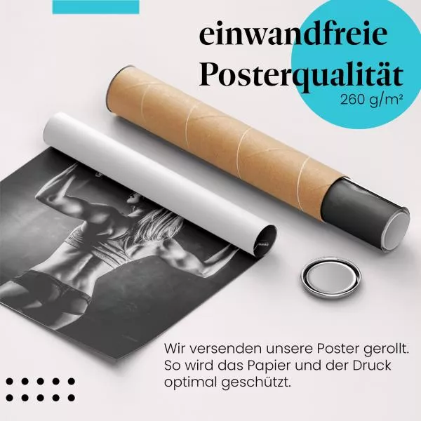 Rückenmuskulatur | Postereck 3533 Rückenmuskulatur | Postereck 3533