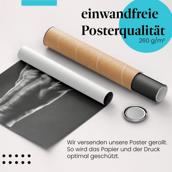Gerolltes Poster "Rückenmuskulatur" - Krafttraining, sicher verpackt.
