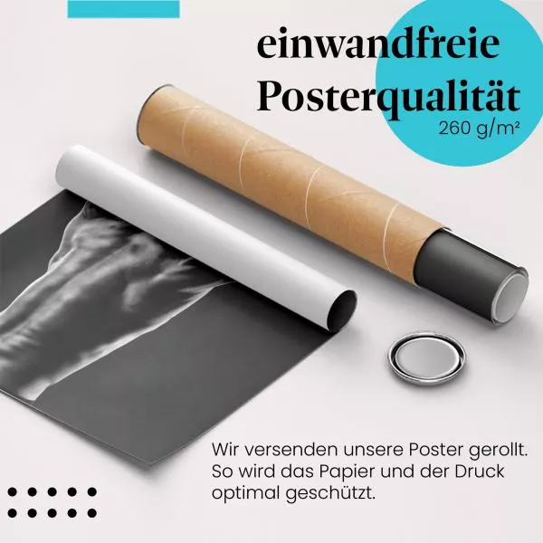 Rückenmuskeln | Postereck 3107 Rückenmuskeln | Postereck 3107