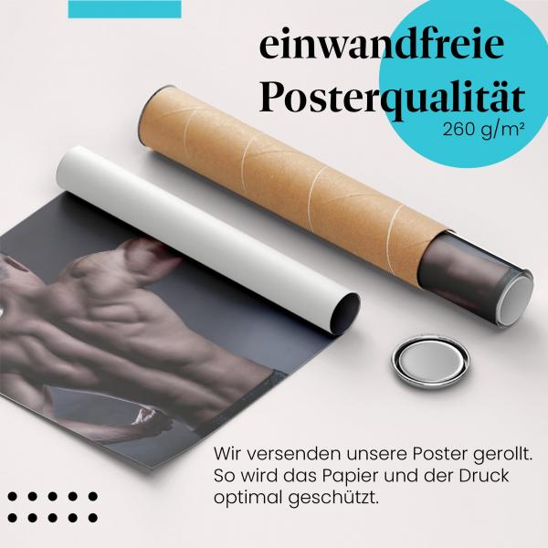 Gerolltes Poster "Rückenmuskulatur" - Kraft & Fitness, sicher verpackt.