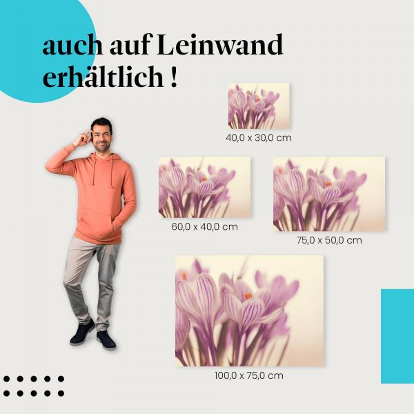 "Lila Krokusse" Leinwandbild. Finde die ideale Größe für dein Zuhause & setze Akzente mit Kunst!