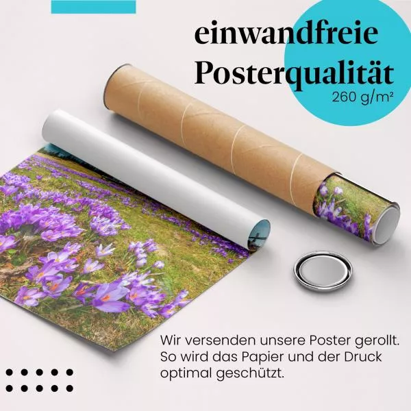 Krokuswiese | Postereck 3203 Krokuswiese | Postereck 3203