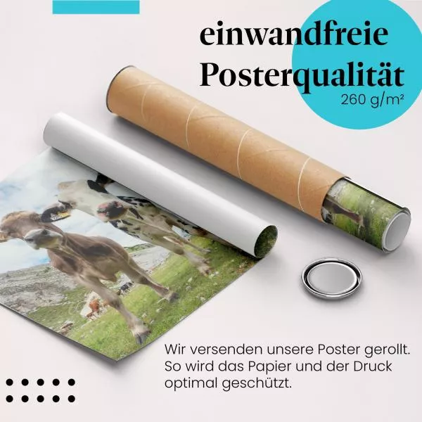 Kühe auf der Alm | Postereck 3141 Kühe auf der Alm | Postereck 3141