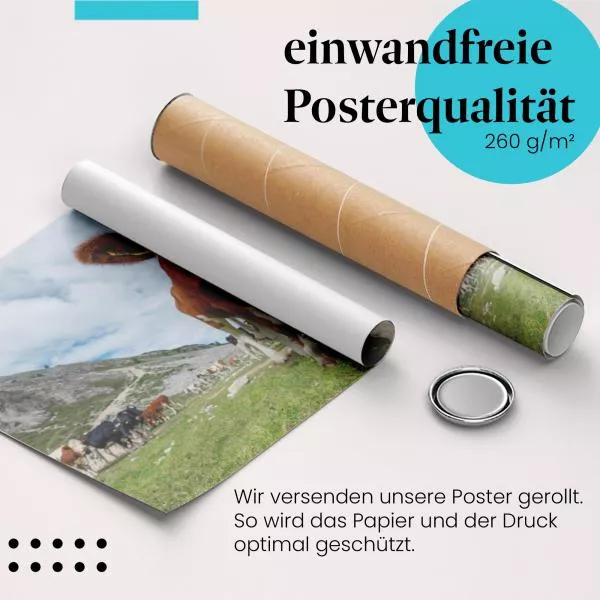 Neugierige Kühe | Postereck 3140 Neugierige Kühe | Postereck 3140