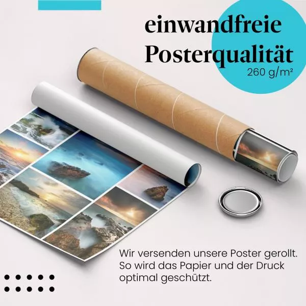 Küsten-Collage | Postereck 3237