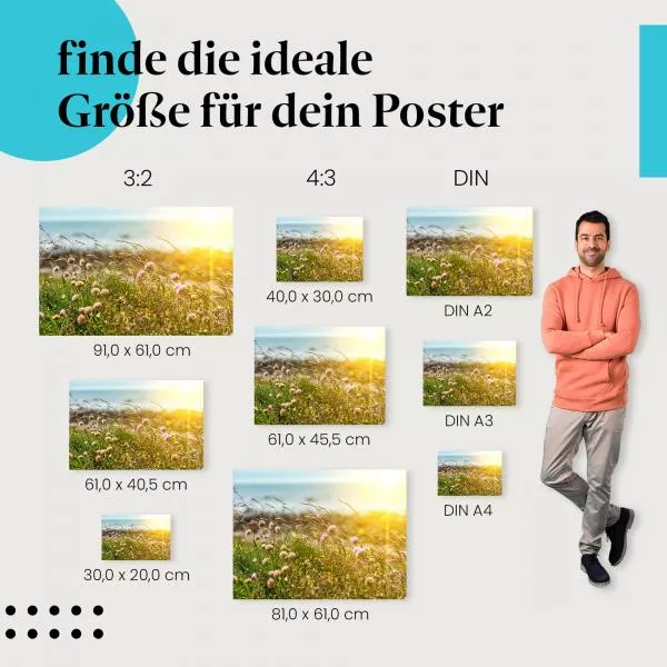 Sonnenuntergang am Meer: Blumen | Postereck 1911 Sonnenuntergang am Meer: Blumen | Postereck 1911
