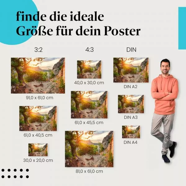 Küstenpfad | Postereck 2587 Küstenpfad | Postereck 2587
