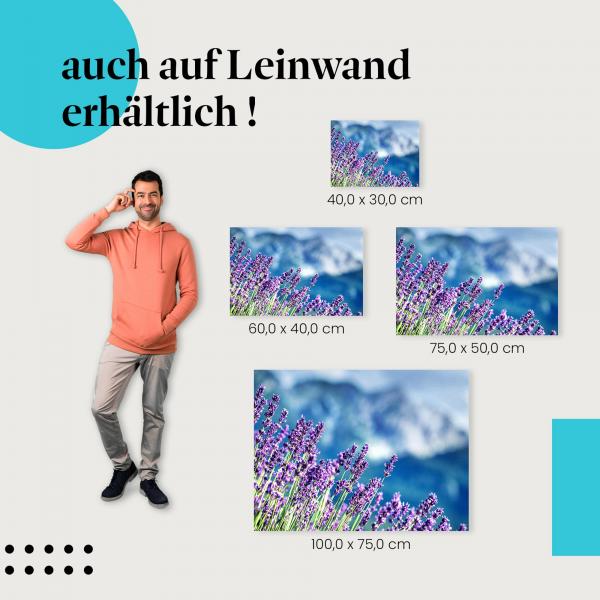 Leinwandbild "Lavendelblüte": Sommer & Provence Feeling