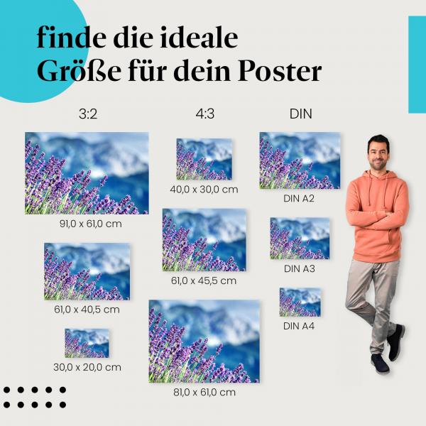 "Lavendelblüte": Poster mit duftenden Lavendelblüten & malerischem Panorama