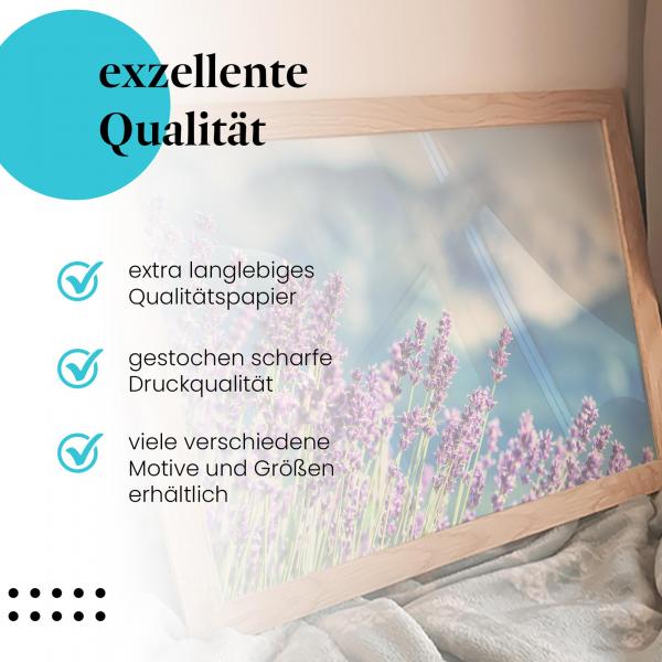 Gerahmtes Wandbild "Lavendelblüte: Duftende Pracht" in verschiedenen Größen.