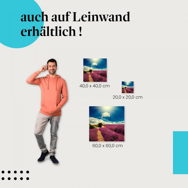 Ein Lavendelfeld in voller Blüte unter blauem Himmel als Leinwandbild.