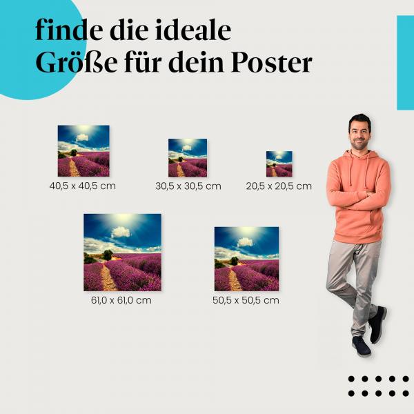 Wähle die ideale Postergröße: Ein Lavendelfeld in voller Blüte unter blauem Himmel.