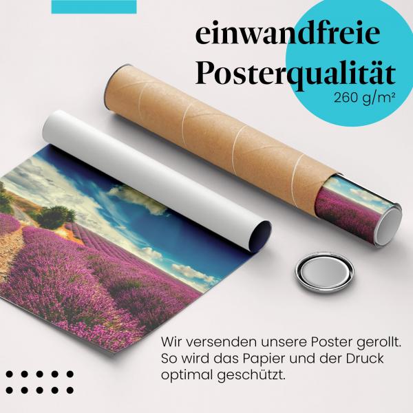 Gerolltes Poster "Lavendelfeld". Blumenlandschaft, sicher verpackt.