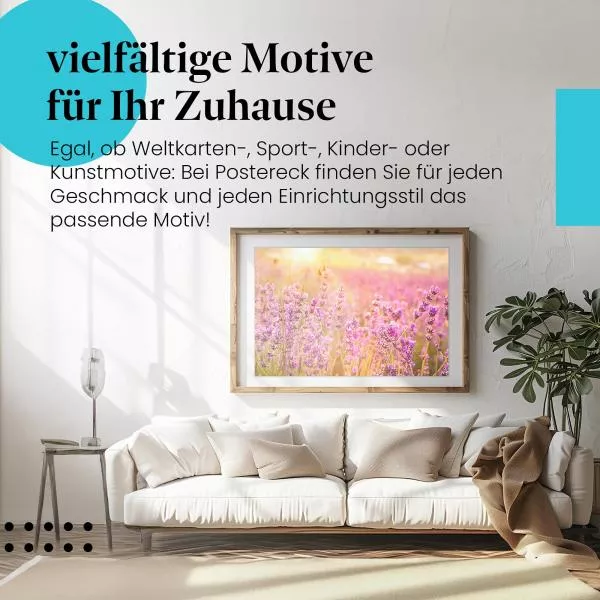 Lavendelfeld | Postereck 2759