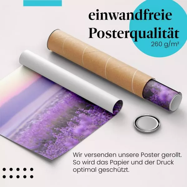 Lavendeltraum | Postereck 2702 Lavendeltraum | Postereck 2702