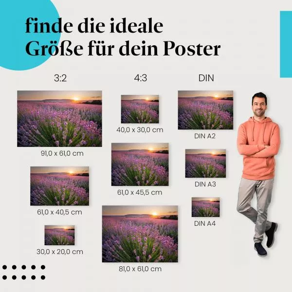 Lavendelfeld | Postereck 3104