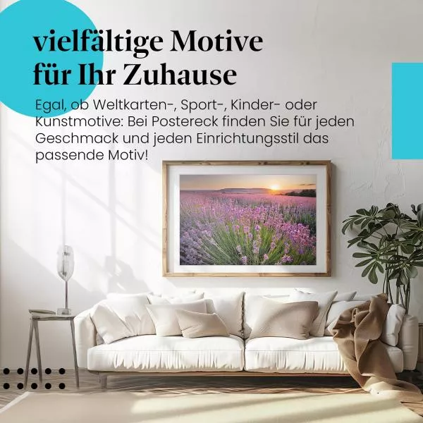 Lavendelfeld | Postereck 3104