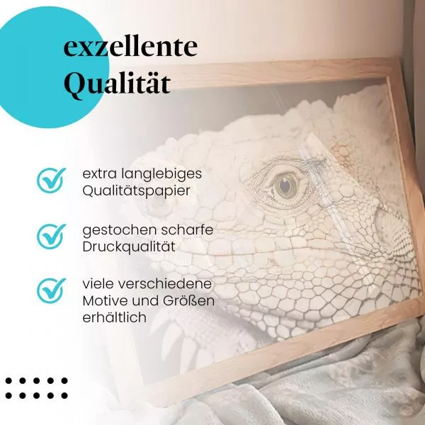 Leguan | Postereck 3924 Leguan | Postereck 3924