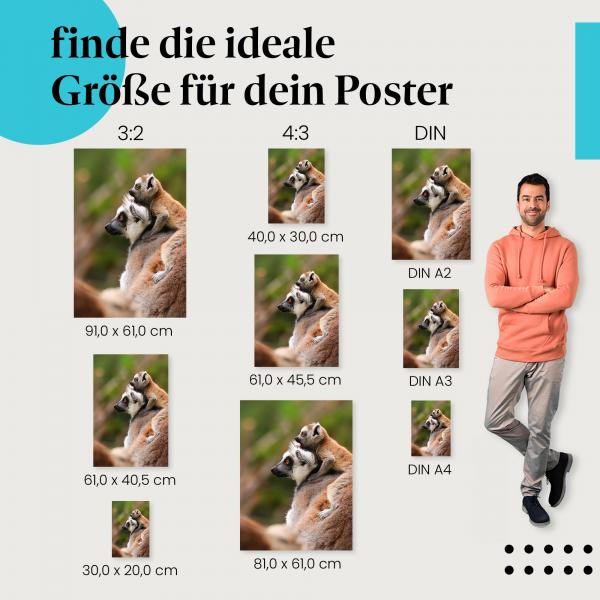Lemuren, Poster: Mutter & Junges, Regenwald, niedlich.