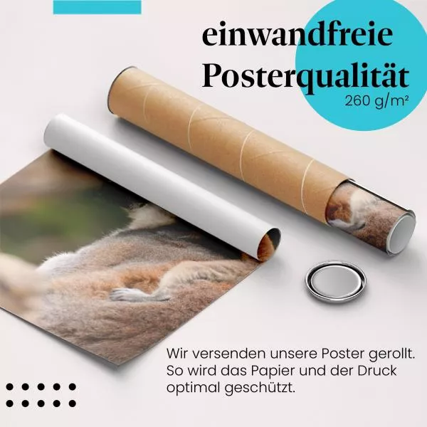 Lemurenmutter und Kind | Postereck 3502 Lemurenmutter und Kind | Postereck 3502