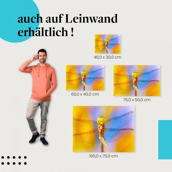 Leinwandbild "Libelle im Gegenlicht": Die Faszination der Insektenwelt