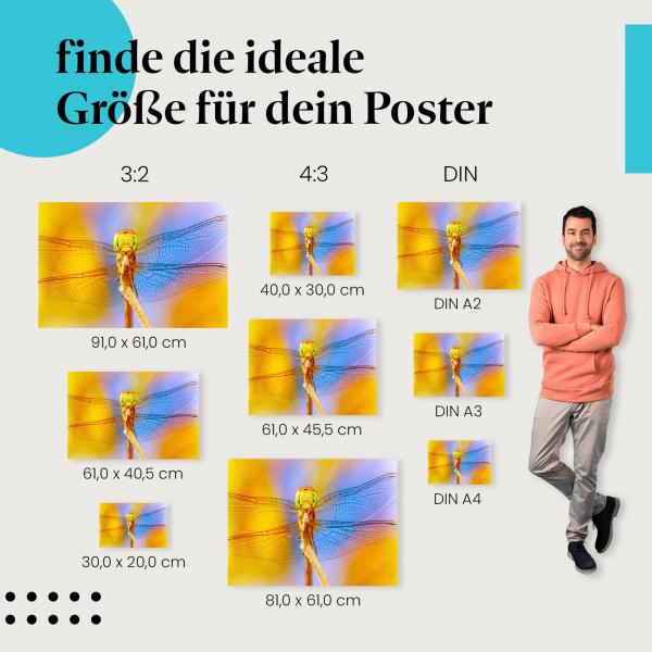 "Libelle im Gegenlicht": Poster mit Libelle - Farben & Details